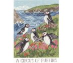 XDD9 Circus Of Puffins Medium