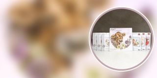 Website-Banner-5.jpg